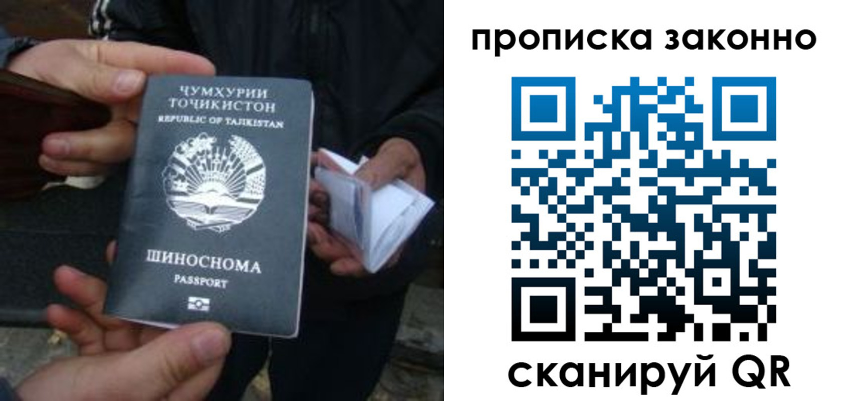прописка для школы в Белгороде